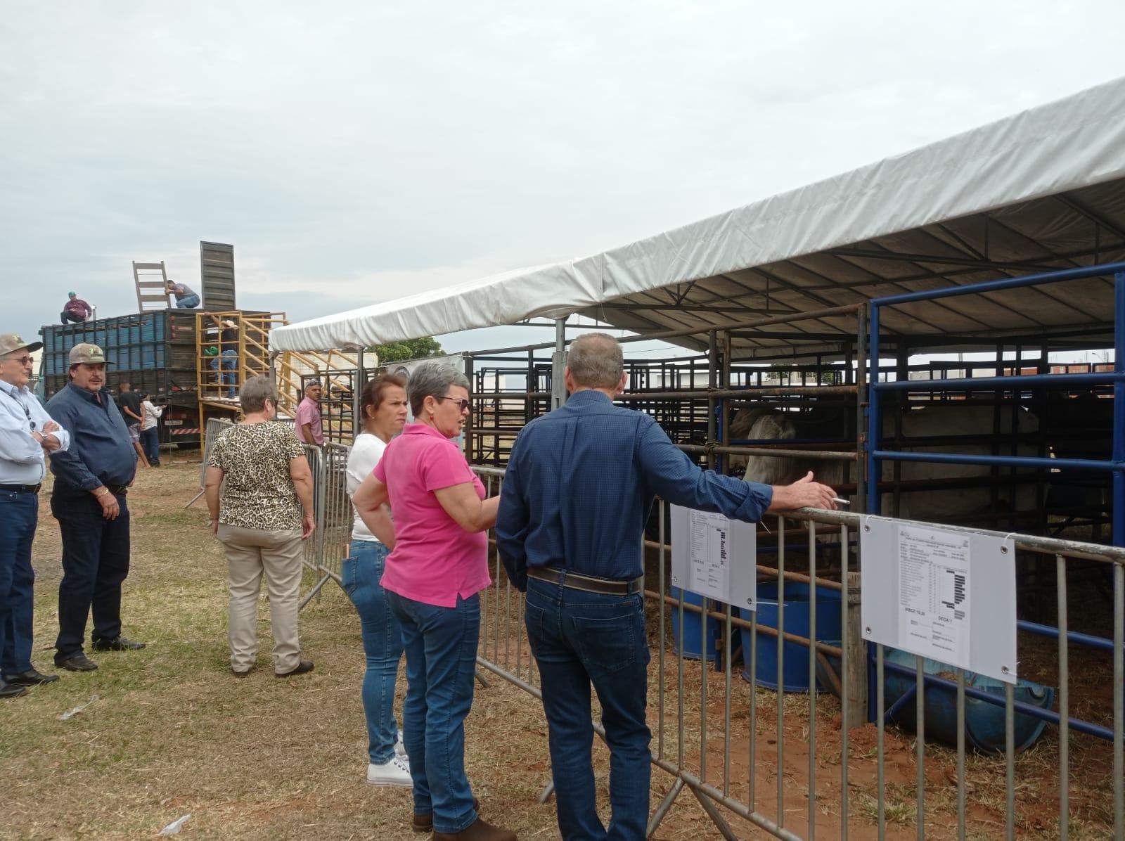 Anhumas abre Expoagro Anhumas com apoio da UNIPONTAL