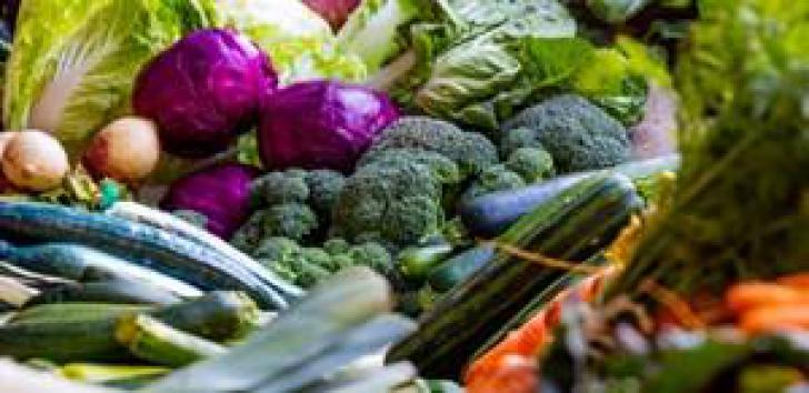 UNIPONTAL REIVINDICA RETOMADA DE ASSITÊNCIA TÉCNICA PARA AGRICULTURA