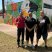 Com Apoio do MEMP, Prefeitura de Rosana e UNIPONTAL Realizam Feira de Sucesso Coroada por Obra de Arte